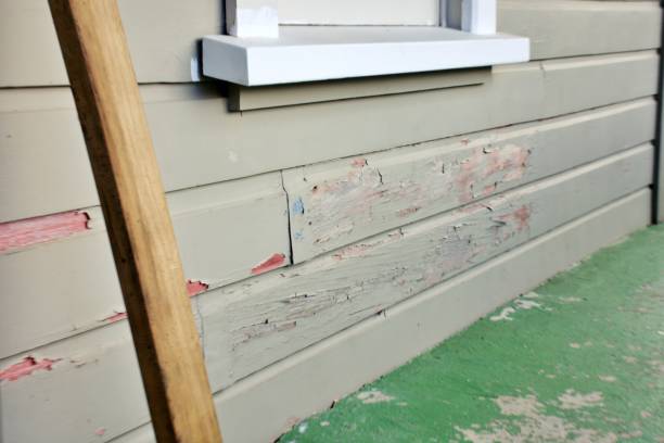 Best Fiber Cement Siding Installation  in San Luis Obispo, CA